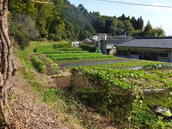 日置市市伊集院町麦生田